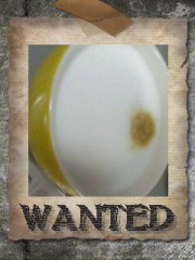 朝からカプチーノ(  ＾∀＾)