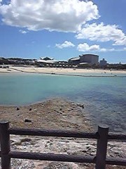 僕の神様