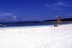 ご無沙汰デス☆