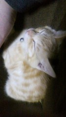 メロメロで～す(*μ_μ)♪