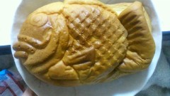 【お題日記】恋人へ1日に何通メールをだしますか？