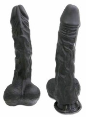 哀れな女性の話┐('～`;)┌