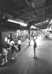 【お題日記】一番すきお菓子は？＆『お知らせ…』