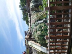 三年ぶりの草津温泉