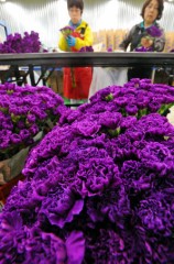 明日は・・・？