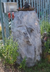 昨日の続き、蜂の巣作り