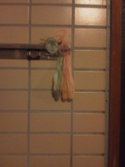 何処でもサカるバカ。