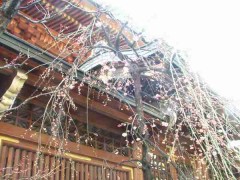 天神サマは無口です