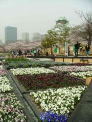 ものには「旬」がある