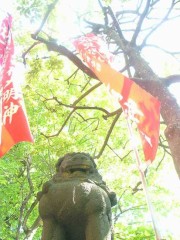 インディアン・サラダ