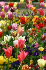 ゴミ屋敷にならないように