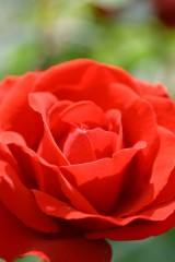 あら　ビックリ