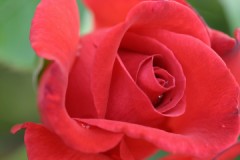 〆切は、平成８０年３月末