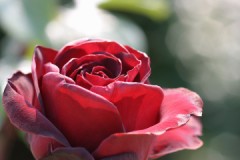 それは私には重過ぎる