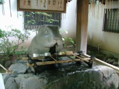 全く関係ない墓参り