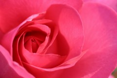 オメカシして　オデカケ