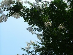 認識すると　見えてくる