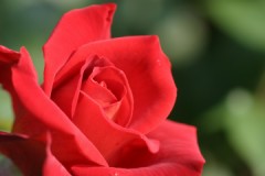 １秒以内に却下された案