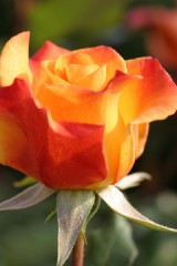 微々たる振動で