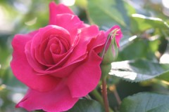 気分転換してから旅行