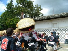 大蛇、見てきました