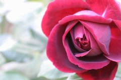 そんなに好きなのか？