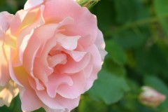 無駄な全力疾走