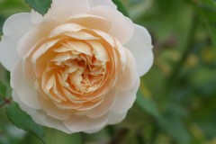 お嬢ちゃん、危ないぞ～