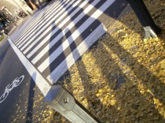 計算が合ってない