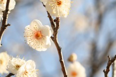 笑うことは　できない