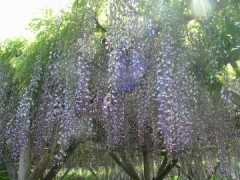 書きそびれ＆行きそびれ