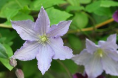 タクシーに乗る