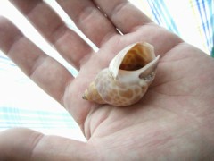 あなたへのプレゼント