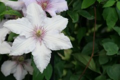 地デジ　危うし