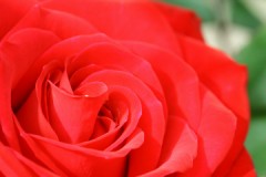 もはや　何も教えない。