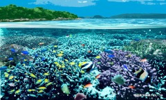 反則だけれども