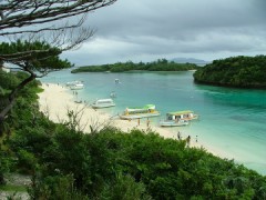 おだやかな激闘