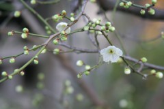 そんなつもりは　ない