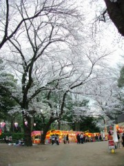 大宮公園に行く