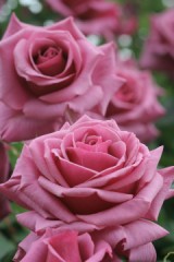 気を付けなければ