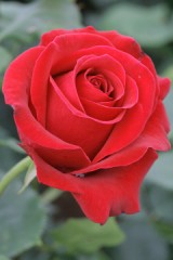 トリッキーな攻撃