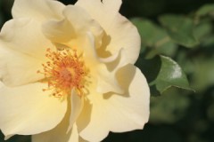 上げてから下げる