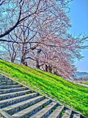 旅行記１『　いつなの？　』