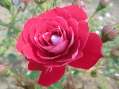 ちょっと綺麗に