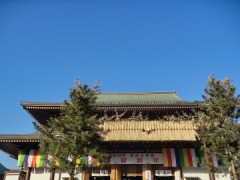 初詣　ではない