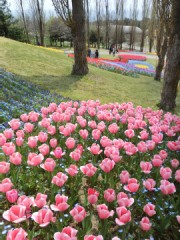 旅行記　その８　『淡路へ』