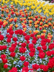 旅行記　その９　『オレを戦わせてくれ』