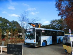 気になっちゃって