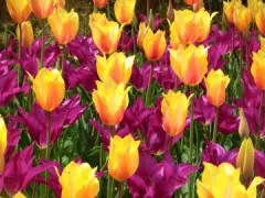 かかっちゃった