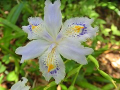 雪かき　ってのは